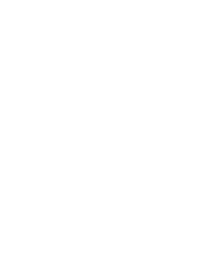Dixor