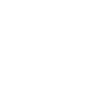 Dixor